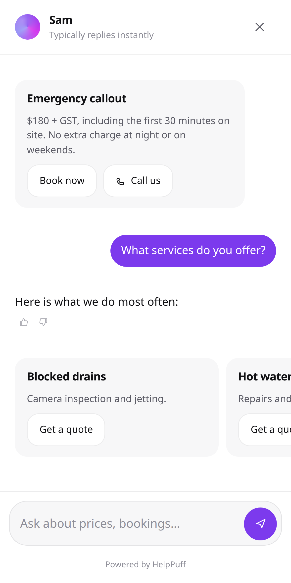 The widget full screen on a phone, with a carousel of services